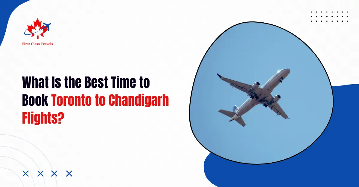 Toronto to Chandigarh Flights